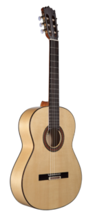 ALTAMIRA FLAMENCA N300-face