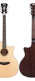 D'ANGELICO Premier Gramercy