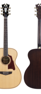 D'ANGELICO Premier Tammany