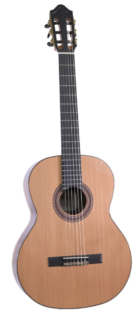 KREMONA-K-SOLEA-SA-C-LH-SOLEA-face