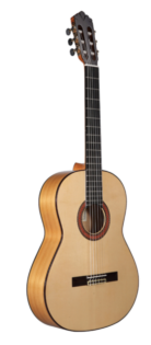 ALTAMIRA FLAMENCA N700F-face